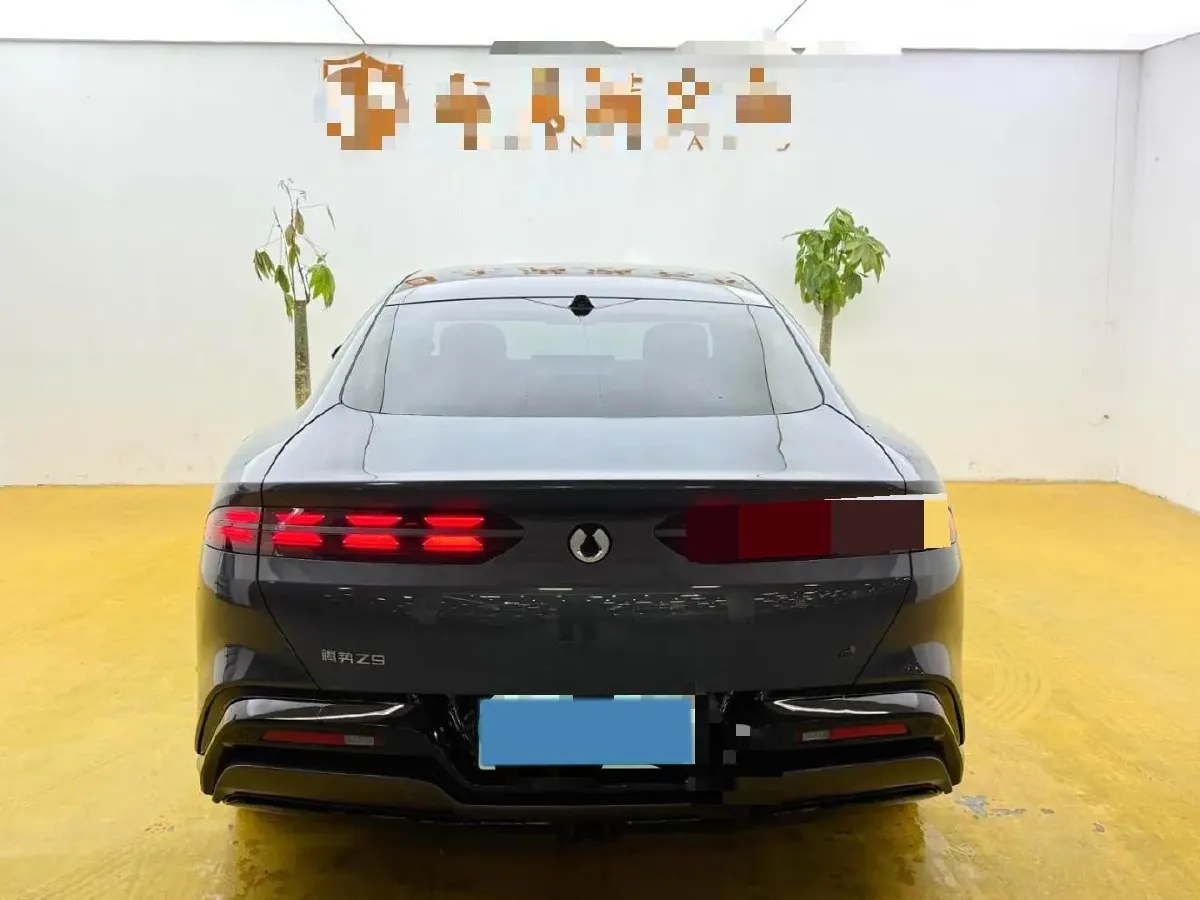 2024 Denza DenzaZ9 2.0T 207HP L4 E-CVT PHEV 38.5KWH,autocango,china used car exporter,china ev exporter,chinese used car exporter,chinese used ev exporter