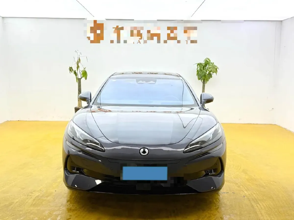 2024 Denza DenzaZ9 2.0T 207HP L4 E-CVT PHEV 38.5KWH,autocango,china used car exporter,china ev exporter,chinese used car exporter,chinese used ev exporter