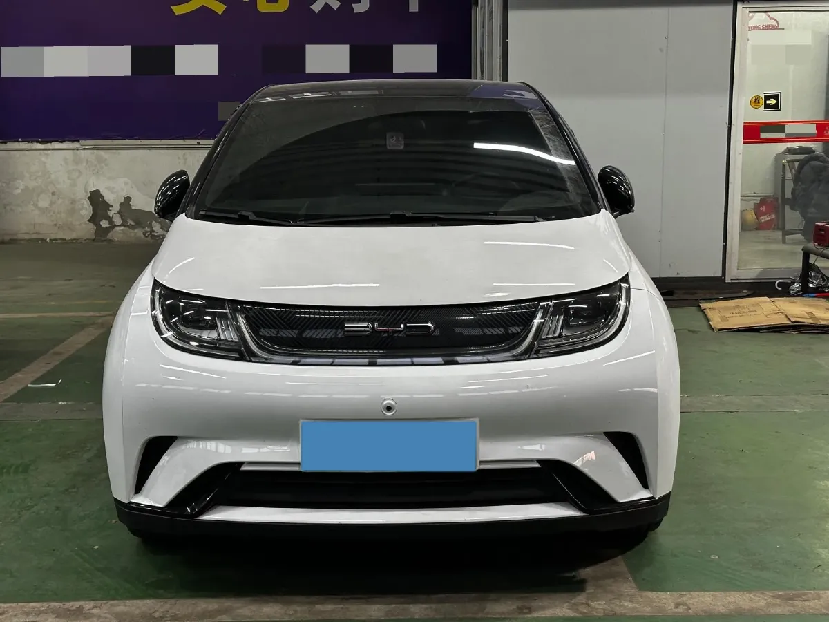 2023 BYD Dolphin BEV 44.928KWH,autocango,china used car exporter,china ev exporter,chinese used car exporter,chinese used ev exporter