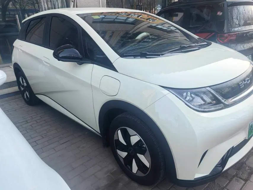 2025 BYD Dolphin BEV 44.928KWH,autocango,china used car exporter,china ev exporter,chinese used car exporter,chinese used ev exporter