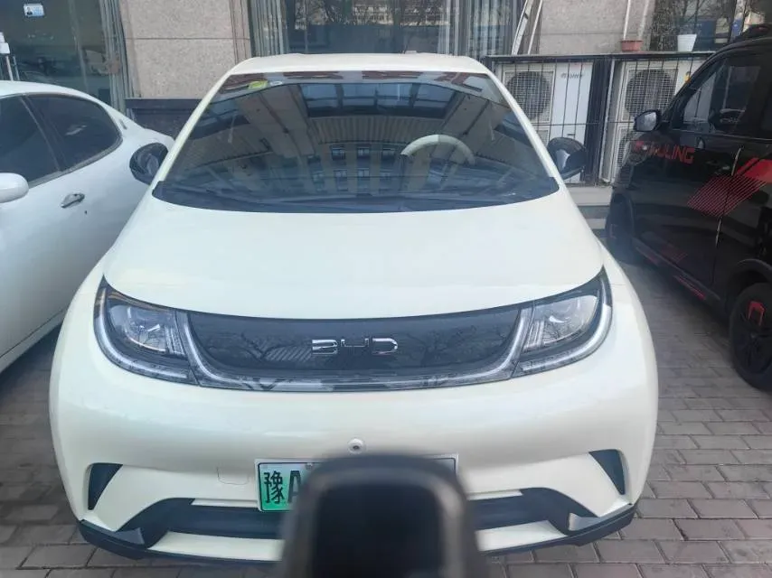 2025 BYD Dolphin BEV 44.928KWH,autocango,china used car exporter,china ev exporter,chinese used car exporter,chinese used ev exporter