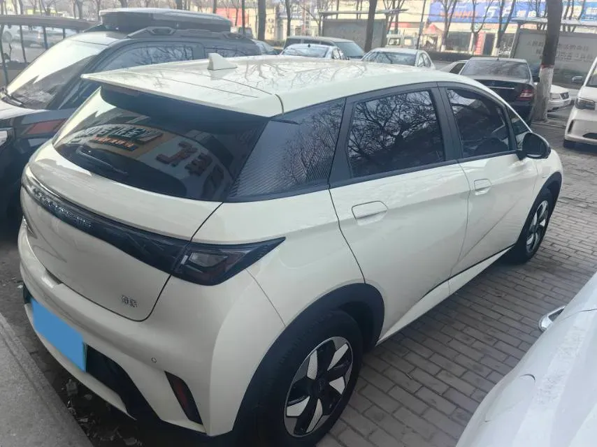 2025 BYD Dolphin BEV 44.928KWH,autocango,china used car exporter,china ev exporter,chinese used car exporter,chinese used ev exporter