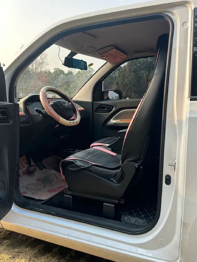 2021 WuLing HongGuang MINI EV BEV 9.3KWH,autocango,china used car exporter,china ev exporter,chinese used car exporter,chinese used ev exporter