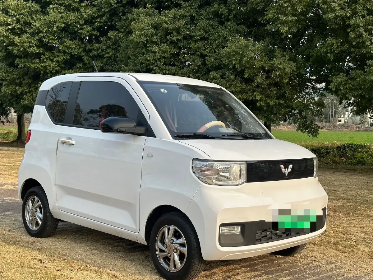 2021 WuLing HongGuang MINI EV BEV 9.3KWH,autocango,china used car exporter,china ev exporter,chinese used car exporter,chinese used ev exporter