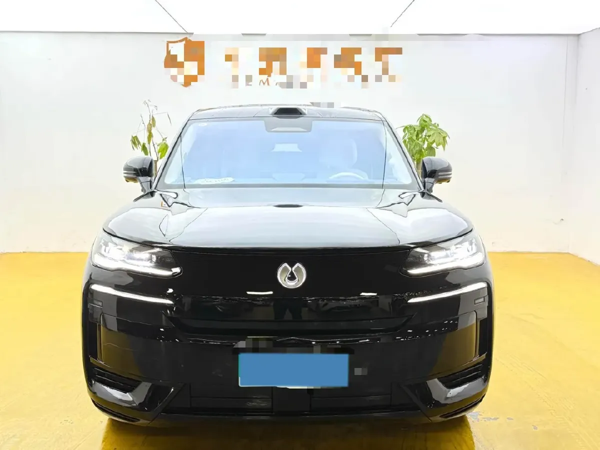 2025 Denza DenzaN9 2.0T 207HP L4 E-CVT PHEV,autocango,china used car exporter,china ev exporter,chinese used car exporter,chinese used ev exporter