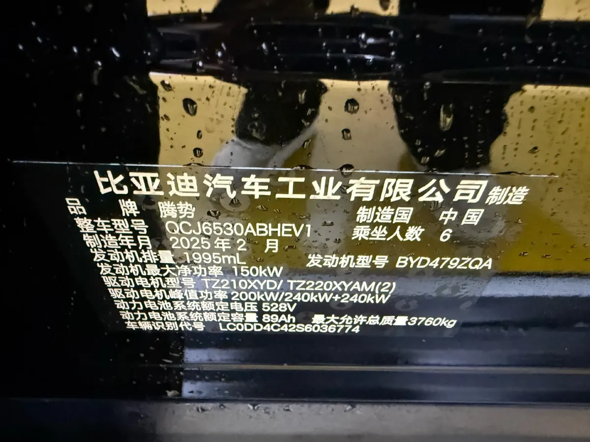 2025 Denza DenzaN9 2.0T 207HP L4 E-CVT PHEV,autocango,china used car exporter,china ev exporter,chinese used car exporter,chinese used ev exporter