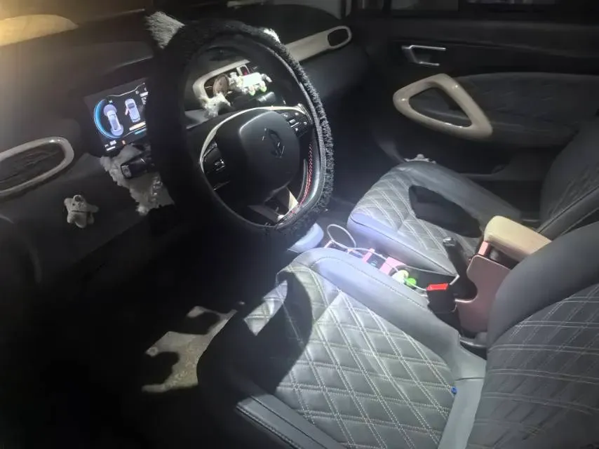 2021 Leapmotor T03 BEV 38KWH,autocango,china used car exporter,china ev exporter,chinese used car exporter,chinese used ev exporter