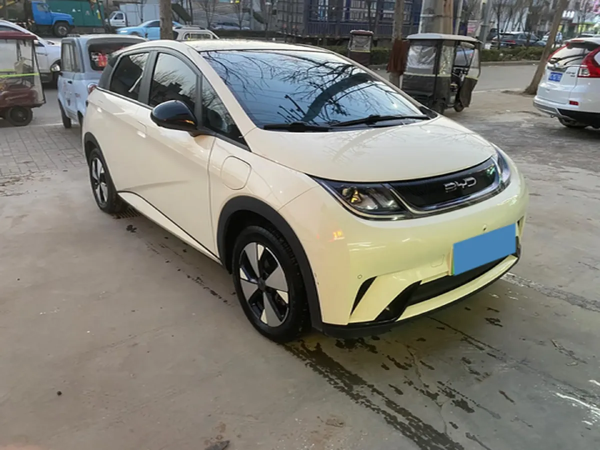 2023 BYD Dolphin BEV 44.928KWH,autocango,china used car exporter,china ev exporter,chinese used car exporter,chinese used ev exporter