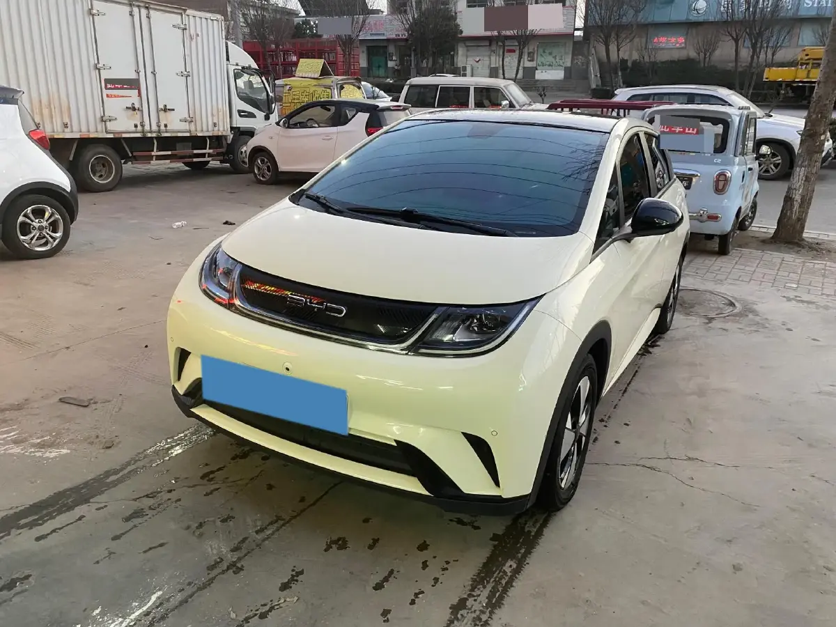 2023 BYD Dolphin BEV 44.928KWH