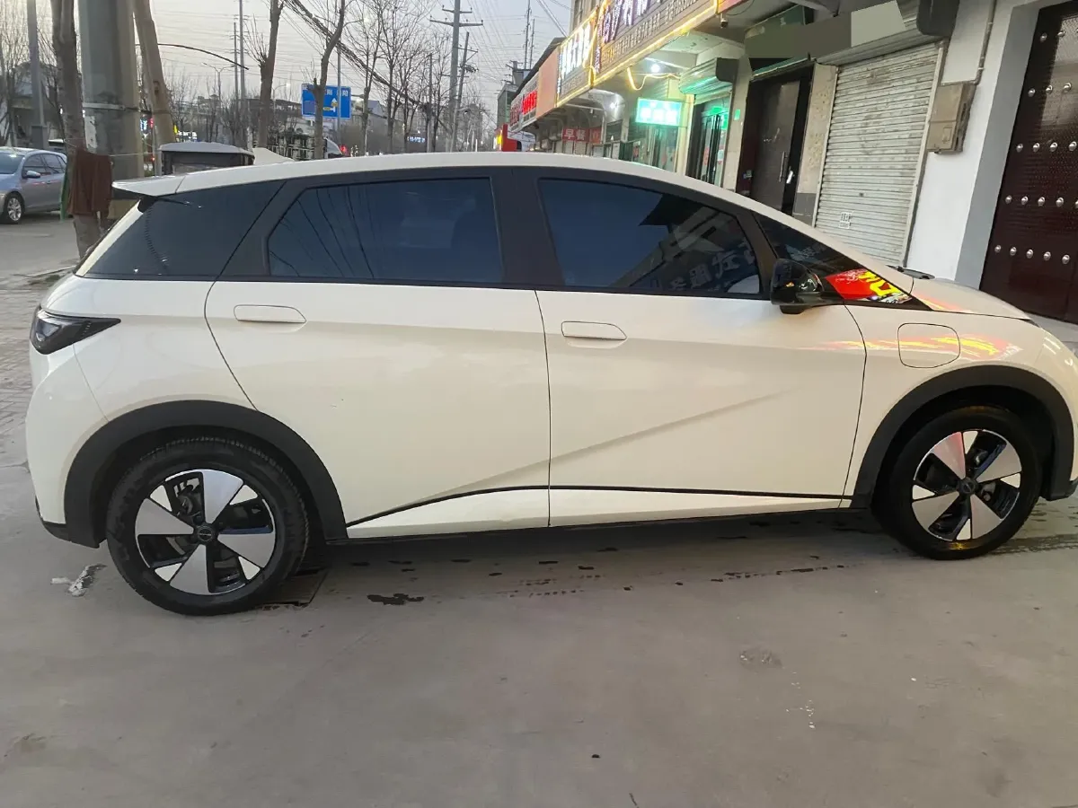 2023 BYD Dolphin BEV 44.928KWH,autocango,china used car exporter,china ev exporter,chinese used car exporter,chinese used ev exporter