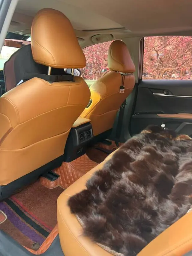 2019 Toyota Camry 2.0L 178HP L4 CVT,autocango,china used car exporter,china ev exporter,chinese used car exporter,chinese used ev exporter