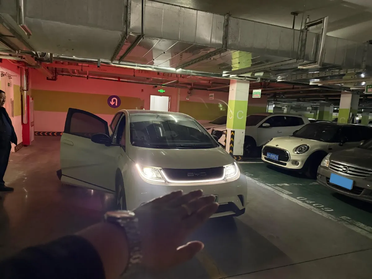 2023 BYD Dolphin BEV 44.928KWH,autocango,china used car exporter,china ev exporter,chinese used car exporter,chinese used ev exporter