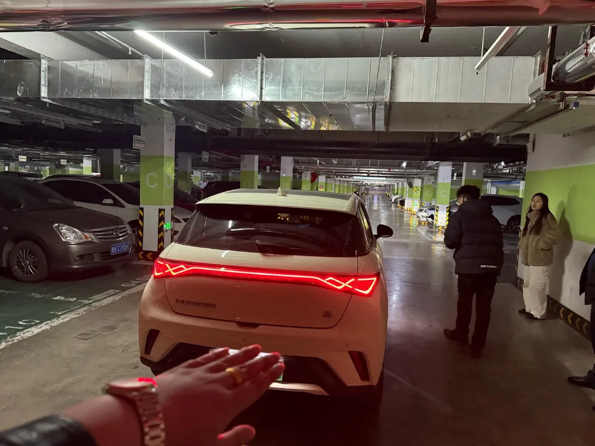 2023 BYD Dolphin BEV 44.928KWH,autocango,china used car exporter,china ev exporter,chinese used car exporter,chinese used ev exporter