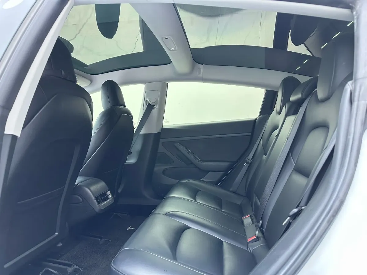 2020 Tesla Model 3 BEV 52KWH,autocango,china used car exporter,china ev exporter,chinese used car exporter,chinese used ev exporter