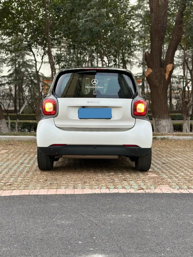 2019 Smart smart fortwo 0.9T 90HP L3 6DCT,autocango,china used car exporter,china ev exporter,chinese used car exporter,chinese used ev exporter