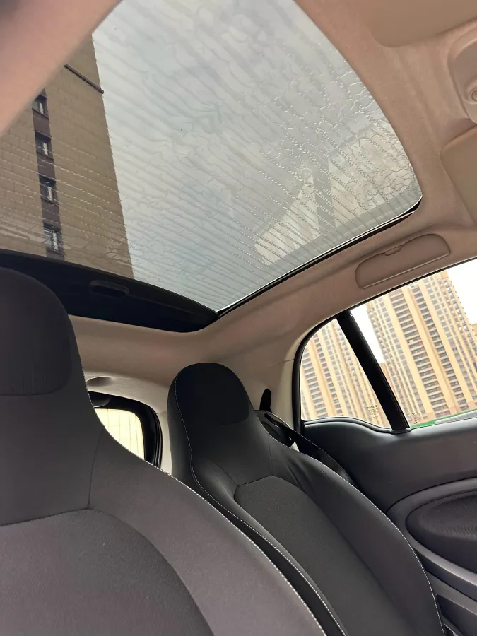 2019 Smart smart fortwo 0.9T 90HP L3 6DCT,autocango,china used car exporter,china ev exporter,chinese used car exporter,chinese used ev exporter