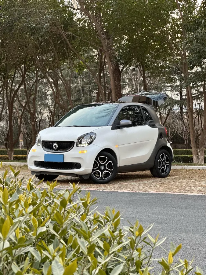 2019 Smart smart fortwo 0.9T 90HP L3 6DCT,autocango,china used car exporter,china ev exporter,chinese used car exporter,chinese used ev exporter