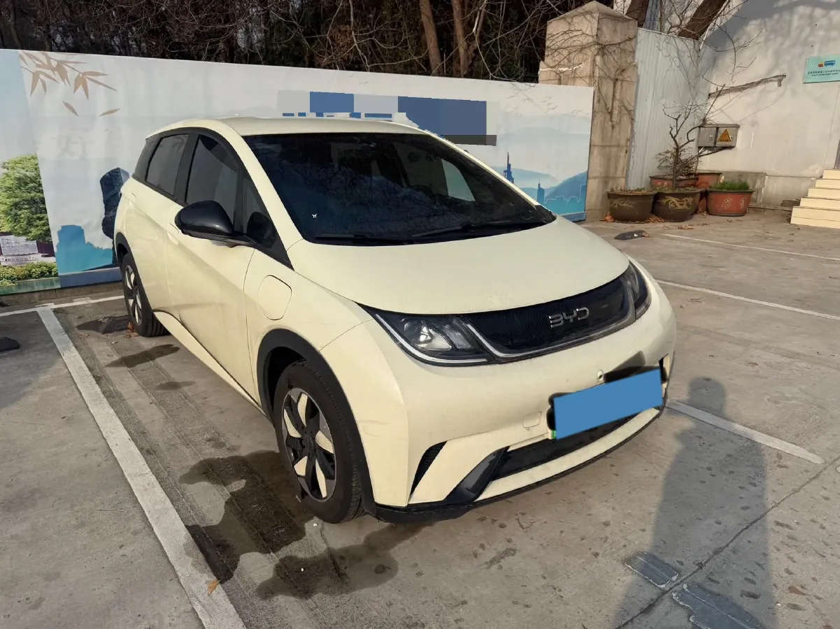 2024 BYD Dolphin BEV 44.928KWH,autocango,china used car exporter,china ev exporter,chinese used car exporter,chinese used ev exporter