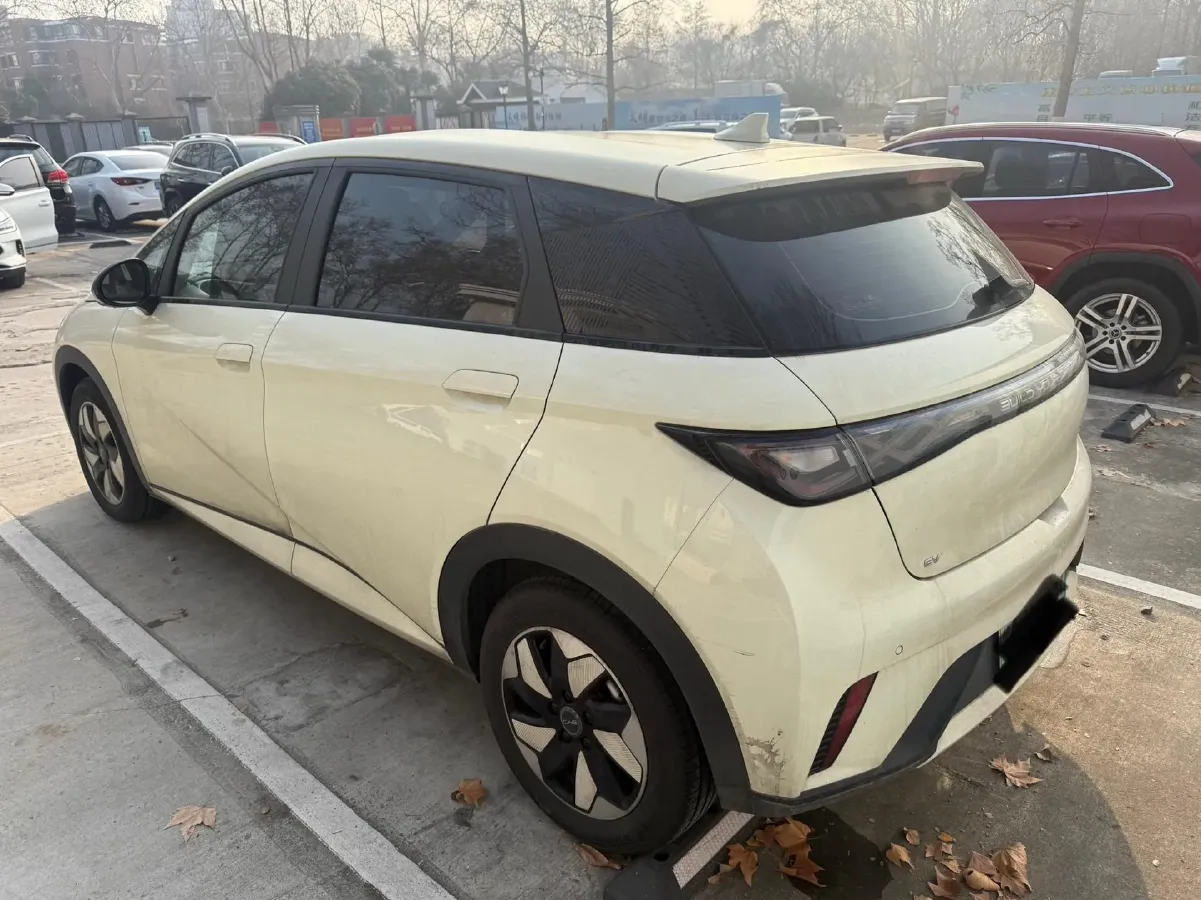 2024 BYD Dolphin BEV 44.928KWH,autocango,china used car exporter,china ev exporter,chinese used car exporter,chinese used ev exporter