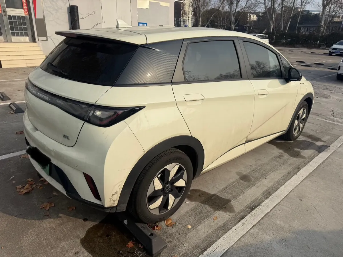 2024 BYD Dolphin BEV 44.928KWH,autocango,china used car exporter,china ev exporter,chinese used car exporter,chinese used ev exporter