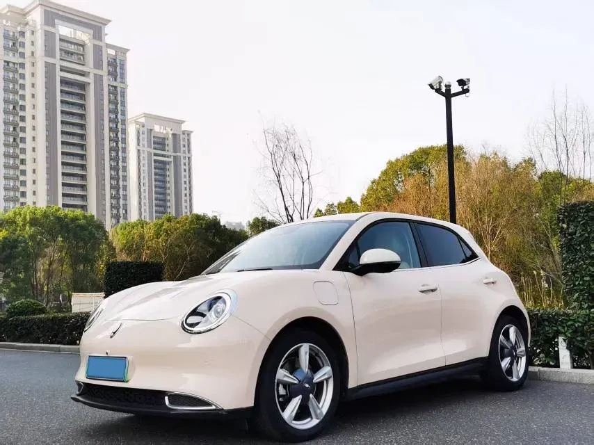 2021 Ora FunkyCat BEV 45.99KWH,autocango,china used car exporter,china ev exporter,chinese used car exporter,chinese used ev exporter