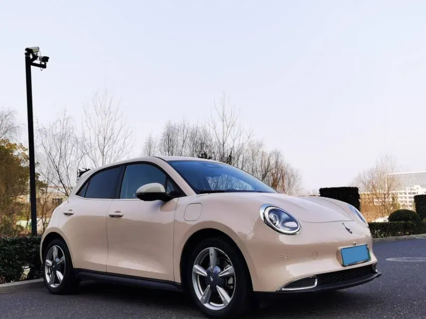 2021 Ora FunkyCat BEV 45.99KWH,autocango,china used car exporter,china ev exporter,chinese used car exporter,chinese used ev exporter