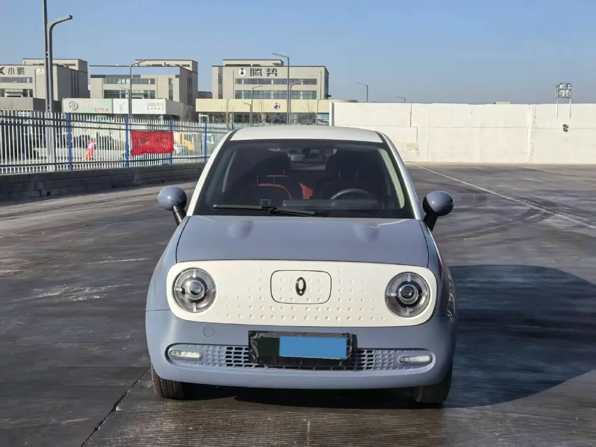 2021 Ora BlackCat BEV 33KWH,autocango,china used car exporter,china ev exporter,chinese used car exporter,chinese used ev exporter