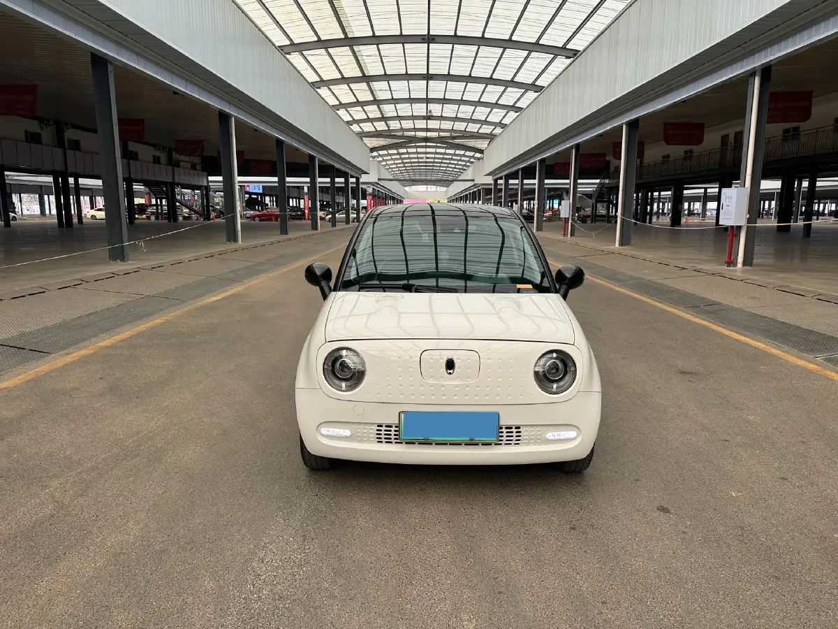 2019 Ora BlackCat BEV 33KWH,autocango,china used car exporter,china ev exporter,chinese used car exporter,chinese used ev exporter