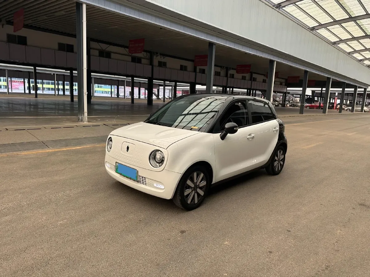 2019 Ora BlackCat BEV 33KWH,autocango,china used car exporter,china ev exporter,chinese used car exporter,chinese used ev exporter
