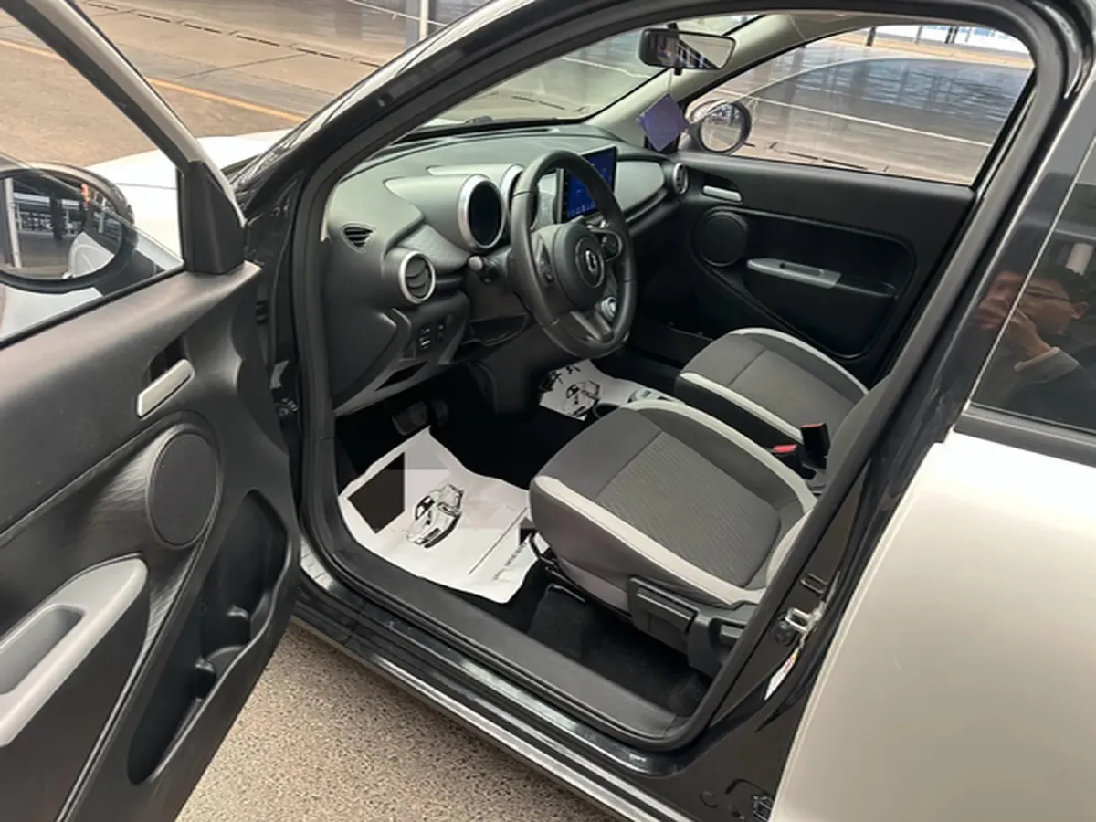 2019 Ora BlackCat BEV 33KWH,autocango,china used car exporter,china ev exporter,chinese used car exporter,chinese used ev exporter