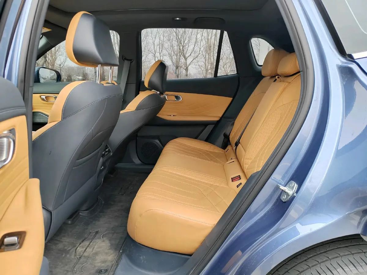 2025 BYD Sea Lion 05 DM-i 1.5L 101HP L4 E-CVT PHEV 18.3KWH,autocango,china used car exporter,china ev exporter,chinese used car exporter,chinese used ev exporter