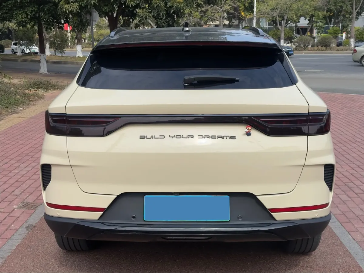 2021 SRM Sea Lion EV BEV 41.86KWH,autocango,china used car exporter,china ev exporter,chinese used car exporter,chinese used ev exporter