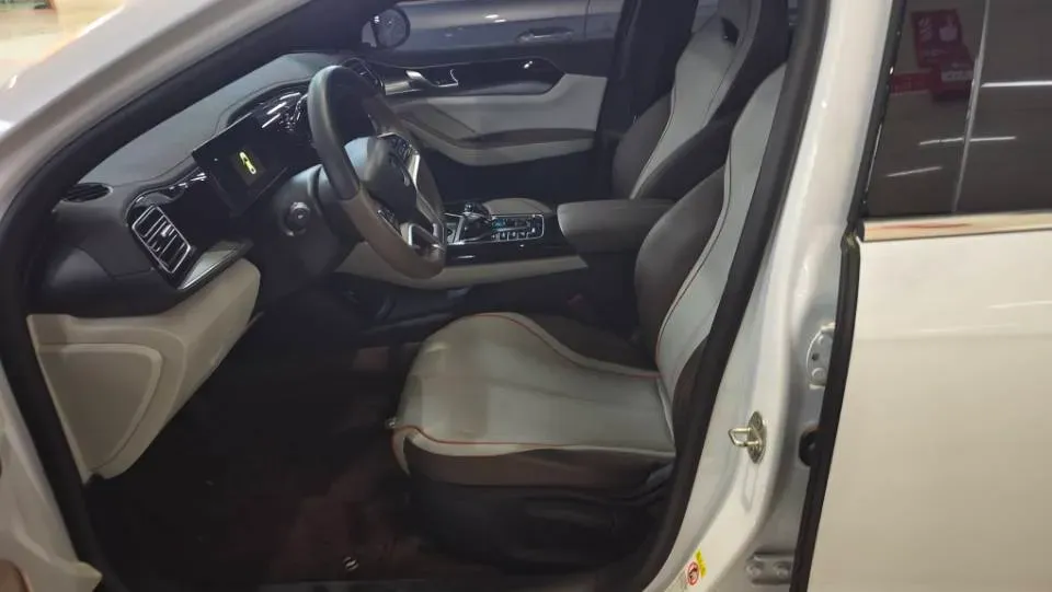 2024 BYD Qin Plus BEV 48KWH,autocango,china used car exporter,china ev exporter,chinese used car exporter,chinese used ev exporter