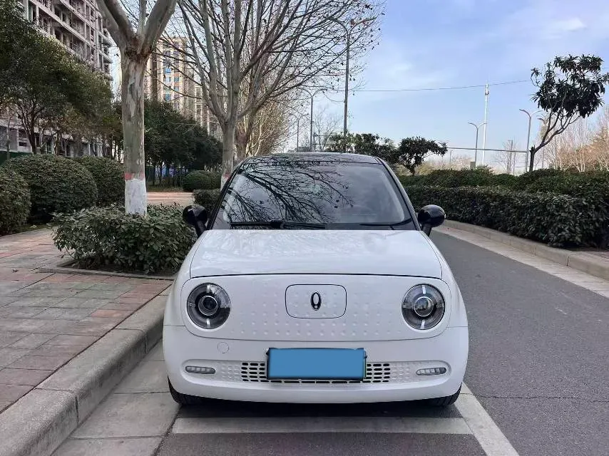 2022 DaYun YueHu BEV 30.66KWH,autocango,china used car exporter,china ev exporter,chinese used car exporter,chinese used ev exporter