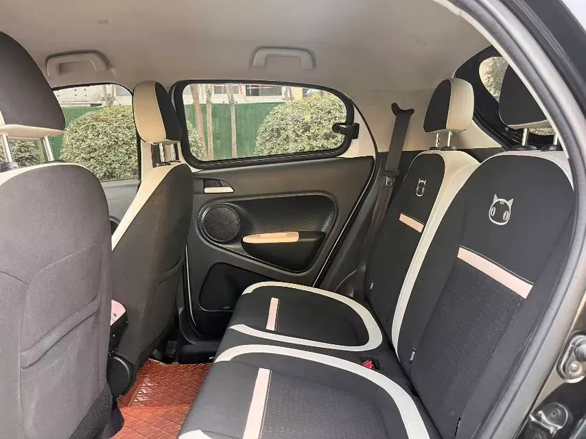 2022 DaYun YueHu BEV 30.66KWH,autocango,china used car exporter,china ev exporter,chinese used car exporter,chinese used ev exporter