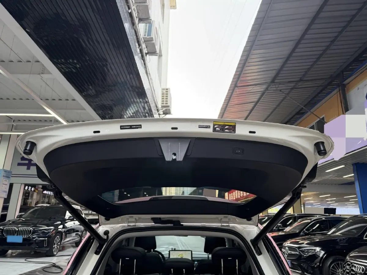 2024 Smart smart Elf 1 BEV 49KWH,autocango,china used car exporter,china ev exporter,chinese used car exporter,chinese used ev exporter