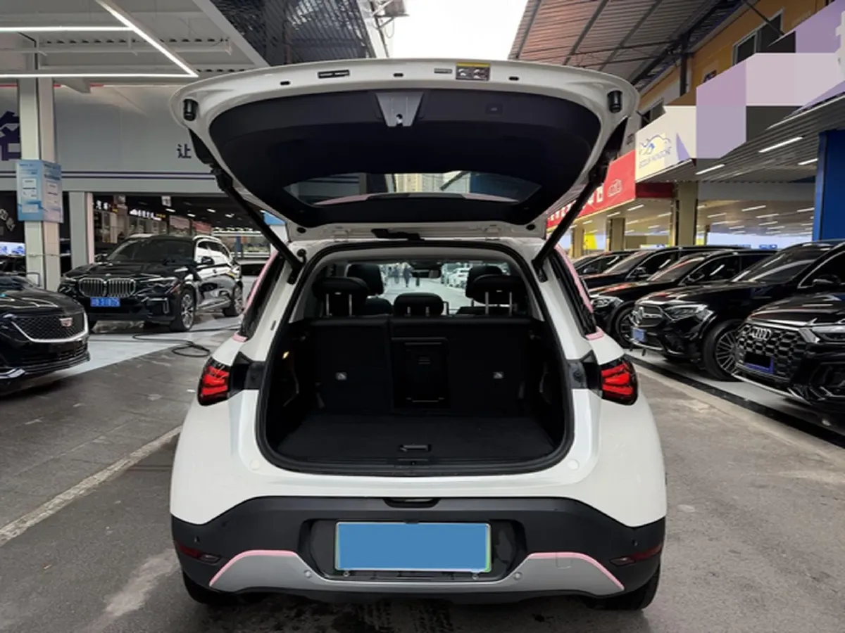 2024 Smart smart Elf 1 BEV 49KWH,autocango,china used car exporter,china ev exporter,chinese used car exporter,chinese used ev exporter