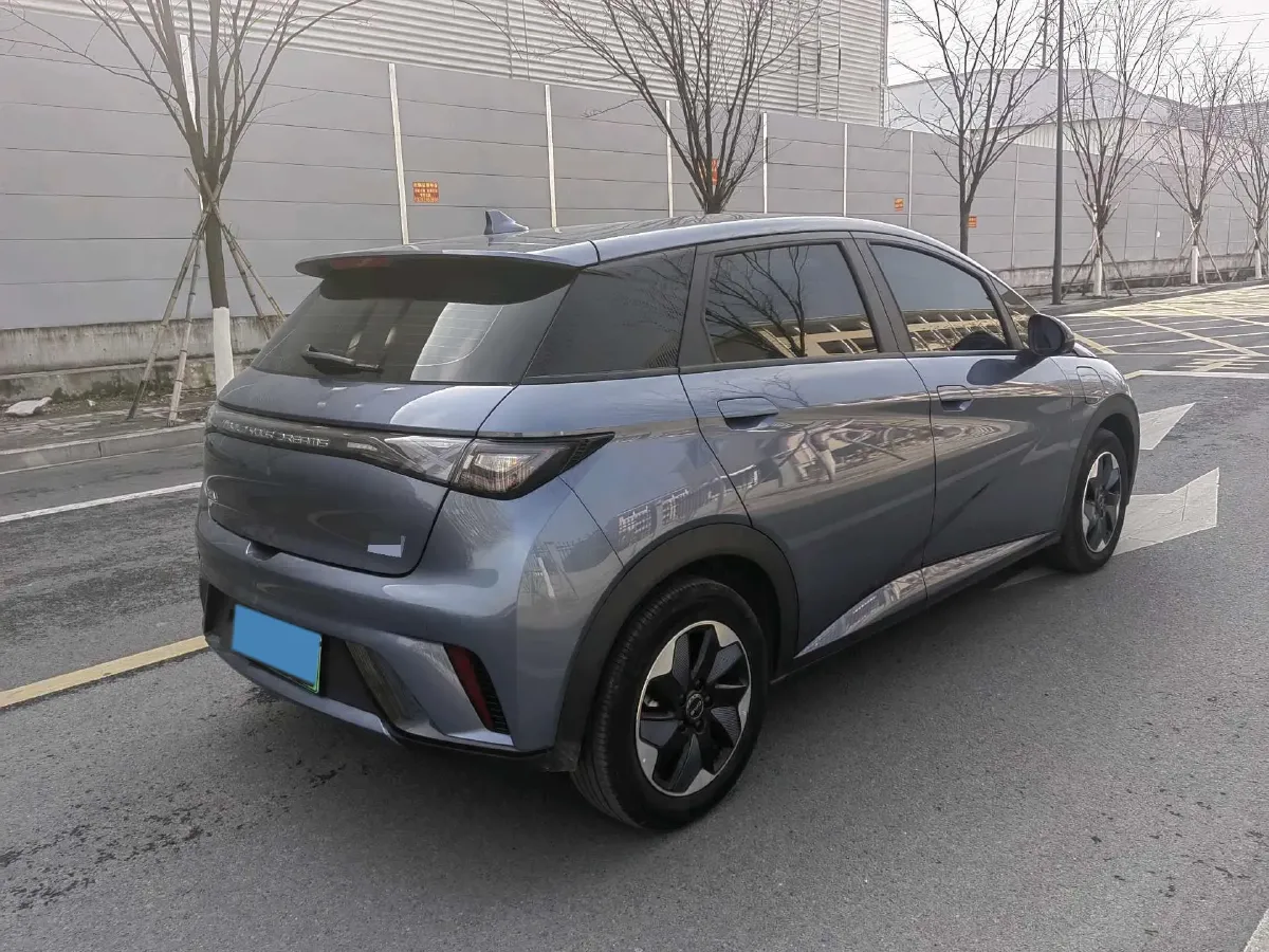 2024 BYD Dolphin BEV 44.928KWH,autocango,china used car exporter,china ev exporter,chinese used car exporter,chinese used ev exporter