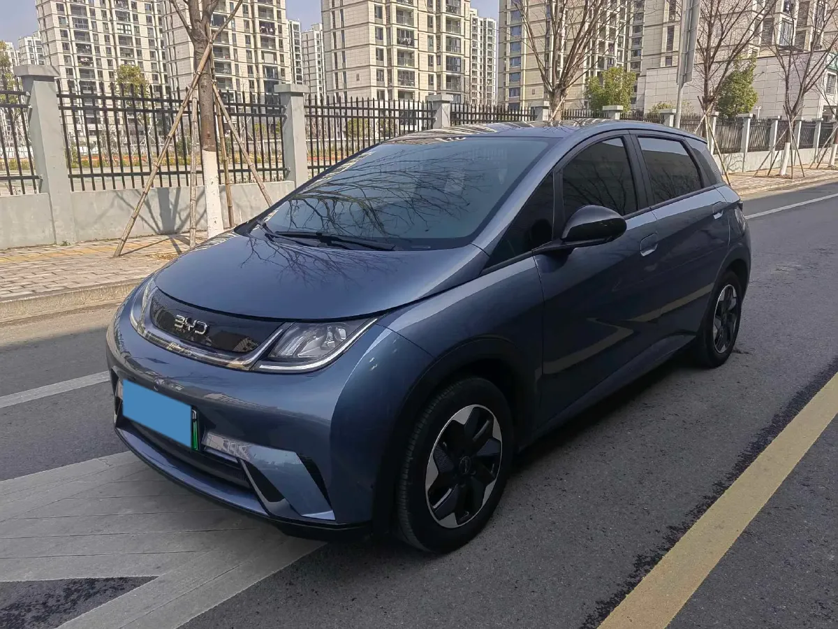 2024 BYD Dolphin BEV 44.928KWH,autocango,china used car exporter,china ev exporter,chinese used car exporter,chinese used ev exporter