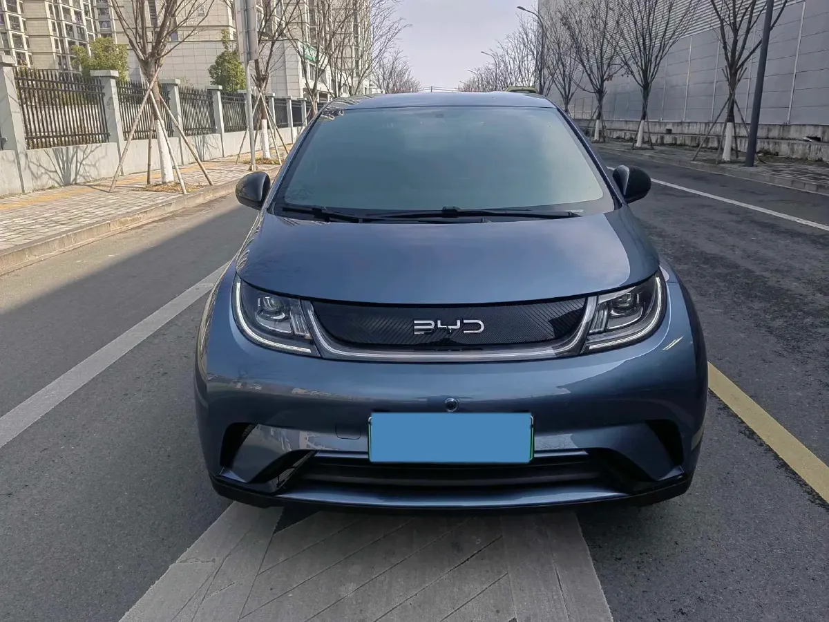 2024 BYD Dolphin BEV 44.928KWH,autocango,china used car exporter,china ev exporter,chinese used car exporter,chinese used ev exporter
