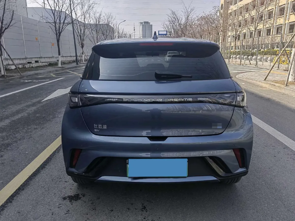 2024 BYD Dolphin BEV 44.928KWH,autocango,china used car exporter,china ev exporter,chinese used car exporter,chinese used ev exporter