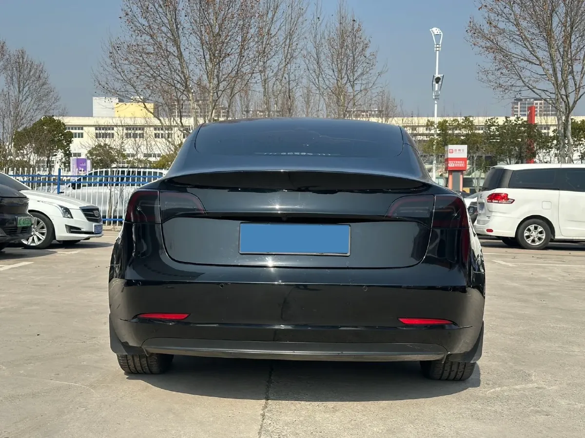 2021 Tesla Model 3 BEV 55KWH,autocango,china used car exporter,china ev exporter,chinese used car exporter,chinese used ev exporter