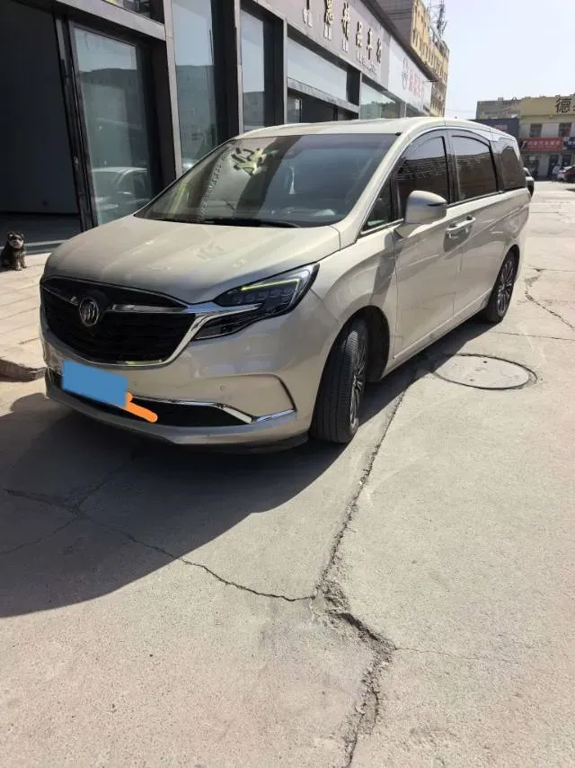 2021 Buick GL8 2.0T 237HP L4 9AT,autocango,china used car exporter,china ev exporter,chinese used car exporter,chinese used ev exporter