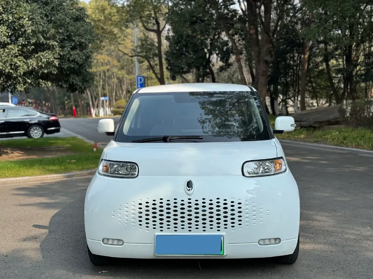 2020 Ora WhiteCat BEV 33KWH,autocango,china used car exporter,china ev exporter,chinese used car exporter,chinese used ev exporter
