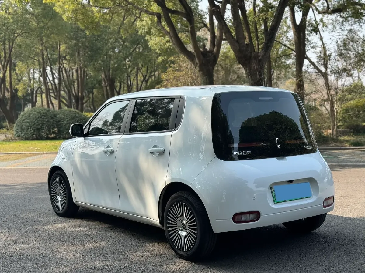 2020 Ora WhiteCat BEV 33KWH,autocango,china used car exporter,china ev exporter,chinese used car exporter,chinese used ev exporter