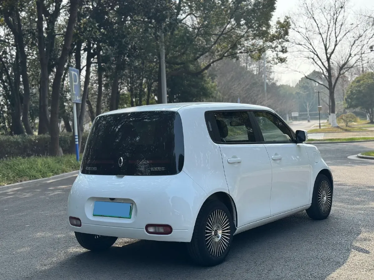 2020 Ora WhiteCat BEV 33KWH,autocango,china used car exporter,china ev exporter,chinese used car exporter,chinese used ev exporter