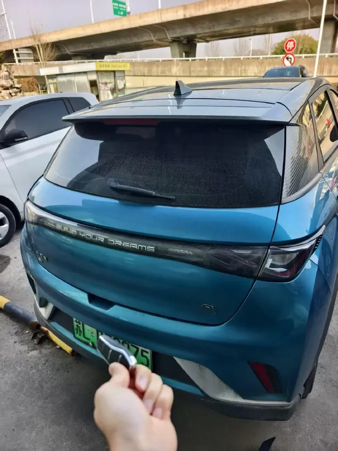 2023 BYD Dolphin BEV 44.928KWH,autocango,china used car exporter,china ev exporter,chinese used car exporter,chinese used ev exporter