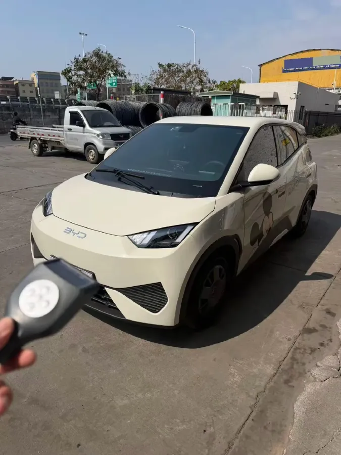 2025 BYD Seagull BEV 30.08KWH,autocango,china used car exporter,china ev exporter,chinese used car exporter,chinese used ev exporter