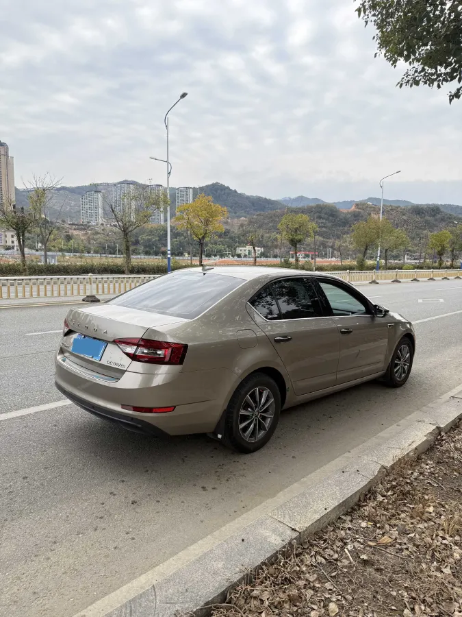 2019 Skoda Octavia 1.5L 116HP L4 6AT,autocango,china used car exporter,china ev exporter,chinese used car exporter,chinese used ev exporter