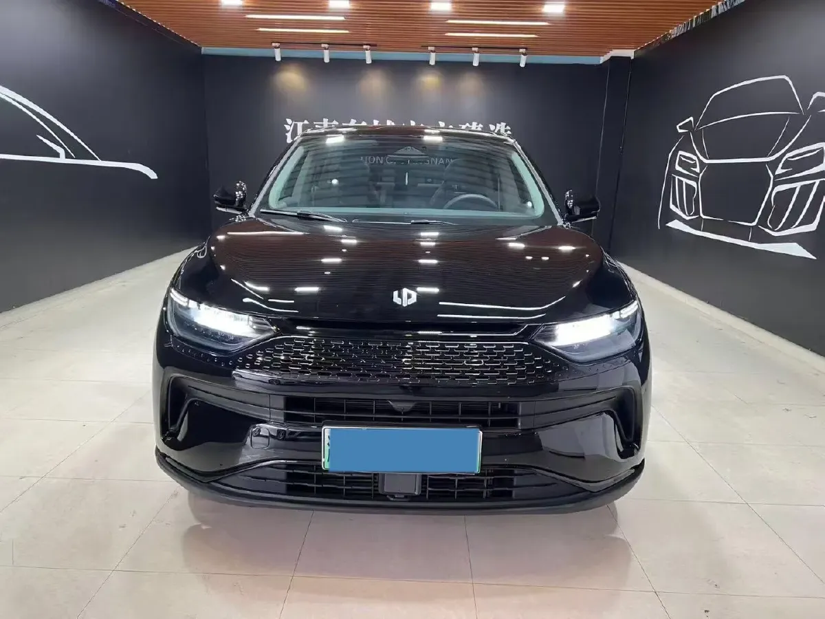 2023 Leapmotor C11 Range Extended 131HP REEV 30.1KWH,autocango,china used car exporter,china ev exporter,chinese used car exporter,chinese used ev exporter